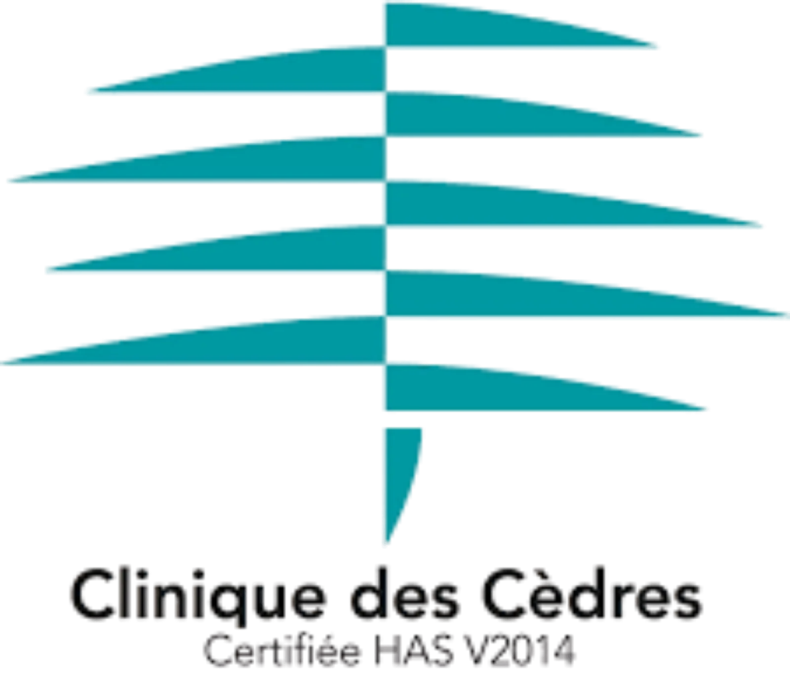 e083cbd697f54bfe23d90632a8655e88